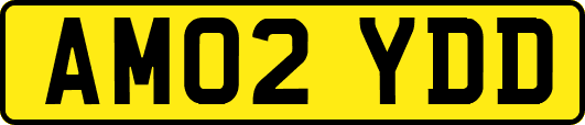 AM02YDD