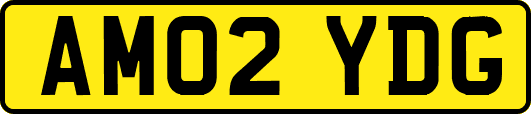 AM02YDG