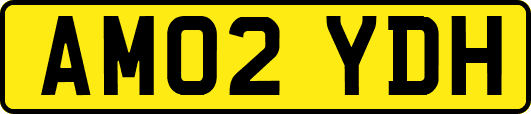 AM02YDH