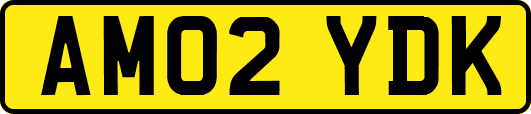 AM02YDK