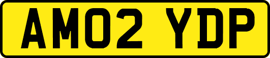 AM02YDP