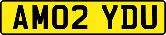 AM02YDU