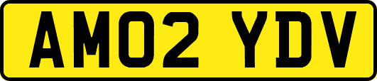 AM02YDV
