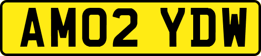 AM02YDW