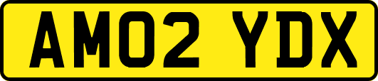AM02YDX