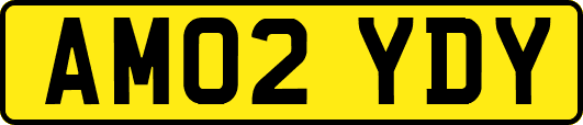 AM02YDY