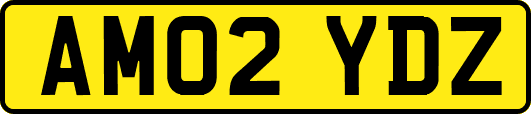 AM02YDZ