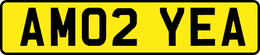 AM02YEA