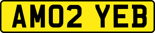 AM02YEB