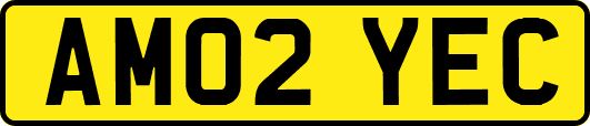 AM02YEC