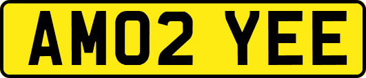 AM02YEE