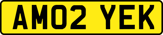 AM02YEK
