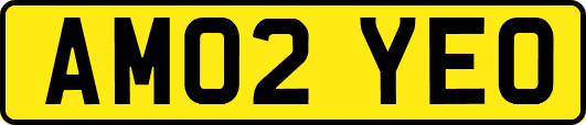AM02YEO