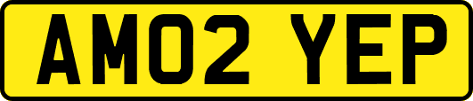 AM02YEP