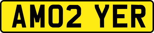 AM02YER