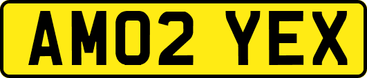 AM02YEX