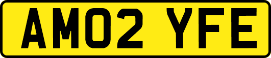 AM02YFE
