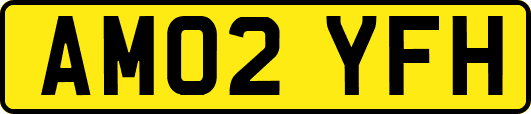 AM02YFH