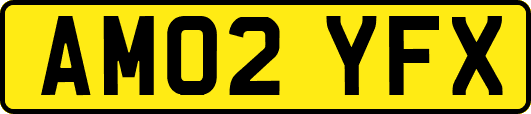 AM02YFX