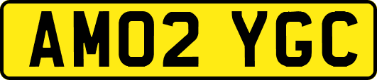 AM02YGC
