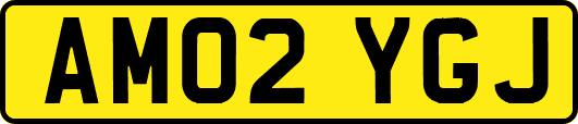 AM02YGJ
