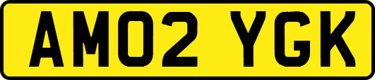 AM02YGK
