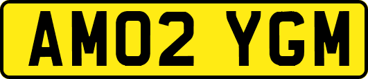 AM02YGM