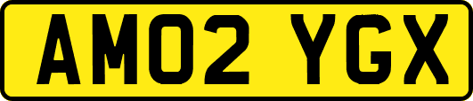 AM02YGX