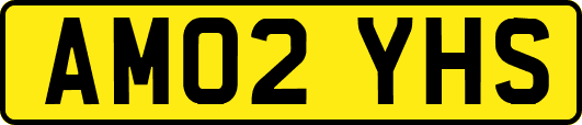 AM02YHS
