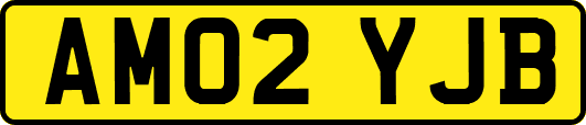 AM02YJB