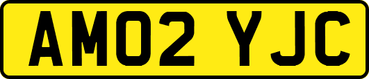 AM02YJC