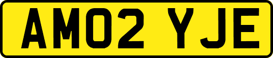 AM02YJE
