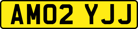 AM02YJJ
