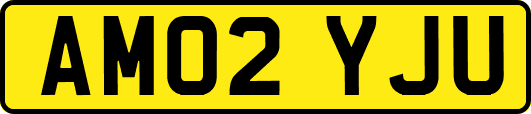 AM02YJU