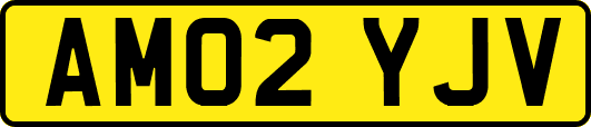 AM02YJV