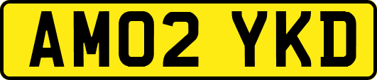 AM02YKD