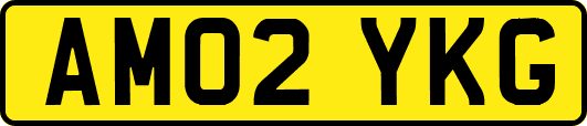 AM02YKG
