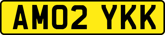 AM02YKK