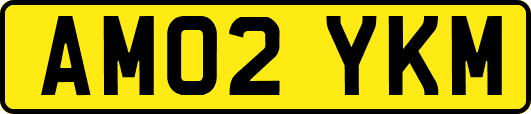 AM02YKM
