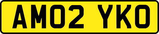 AM02YKO