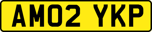 AM02YKP