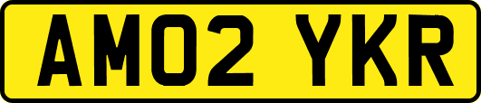 AM02YKR