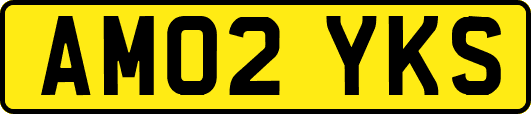 AM02YKS