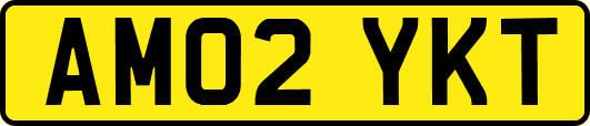 AM02YKT