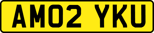 AM02YKU