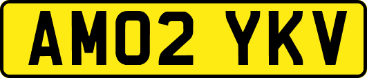 AM02YKV