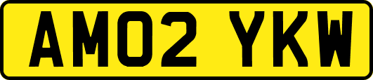 AM02YKW