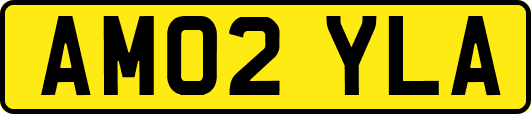 AM02YLA