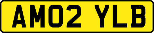 AM02YLB