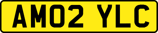 AM02YLC